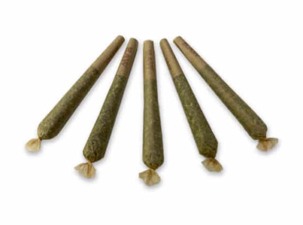 5 Pre-rolls (fan)